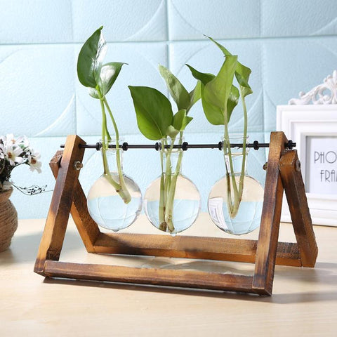 Glass and Wood Vase Planter Terrarium