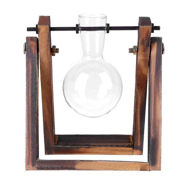 Glass and Wood Vase Planter Terrarium