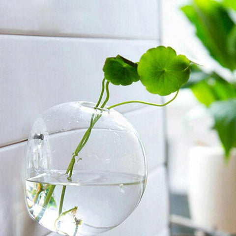 New Garden  Home Hanging Glass Ball Vase