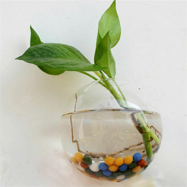 New Garden  Home Hanging Glass Ball Vase