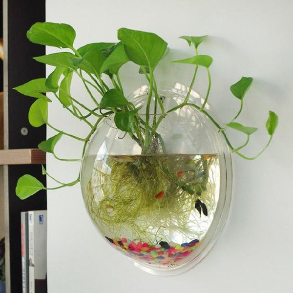 New Garden  Home Hanging Glass Ball Vase